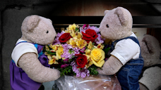 
      	celebration of Life Icon